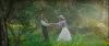 Filename=silk.jpg
Filesize=274KB
Dimensions=1920x816
Date added=Sep 09, 2008 silk.jpg